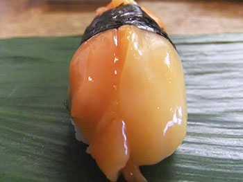 アオヤギの握り